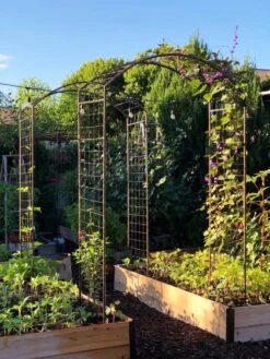 Featured Products -GardenJoy Shop 38690 02IN tif