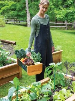 Garden Hods 11 Garden Hods -GardenJoy Shop 39 761 0146 tif