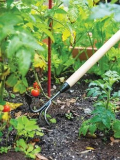 Gardener's Lifetime Long-Handled Double Tool -GardenJoy Shop 3 4 crop 8592107 2460 tif