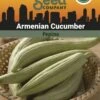 Armenian Cucumber Organic Seeds 2 Armenian Cucumber Organic Seeds -GardenJoy Shop 3 4 crop 8613866 81608 Cucumber Armenian SDSC