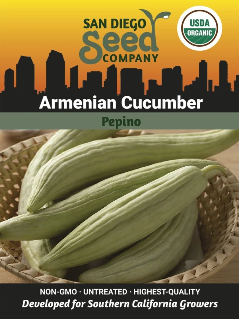 Armenian Cucumber Organic Seeds 3 Armenian Cucumber Organic Seeds