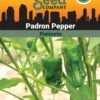 Pepper, Padron Organic Seeds -GardenJoy Shop 3 4 crop 87466 8613547 Pepper Padron SDSC