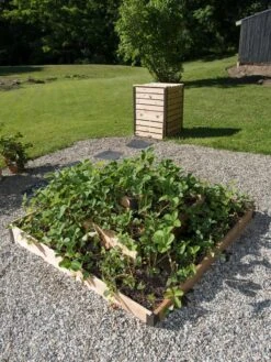 3-Tier Strawberry Bed -GardenJoy Shop 8586752 2341 tif