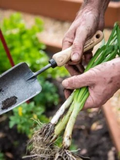 Gardener's Lifetime Trowel -GardenJoy Shop 8586972 3286 tif
