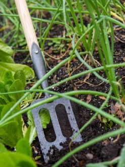 Gardener's Lifetime Spork -GardenJoy Shop 8586973 2383 tif