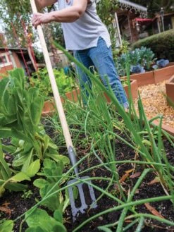 Featured Products -GardenJoy Shop 8586973 2385 tif