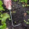 Gardener's Lifetime Cape Cod Weeder, Right-Handed -GardenJoy Shop 8586974 2361 tif