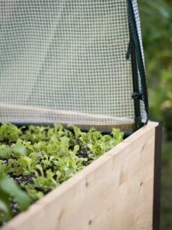 Planter Box, Frame And 2 Covers Kit, 2' X 4' -GardenJoy Shop 8587631 265 tif 1