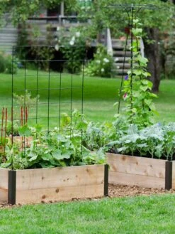 Deep Root Raised Beds, 14" Deep 4' Wide 11 Deep Root Raised Beds, 14" Deep 4' Wide -GardenJoy Shop 8587812 7054 tif