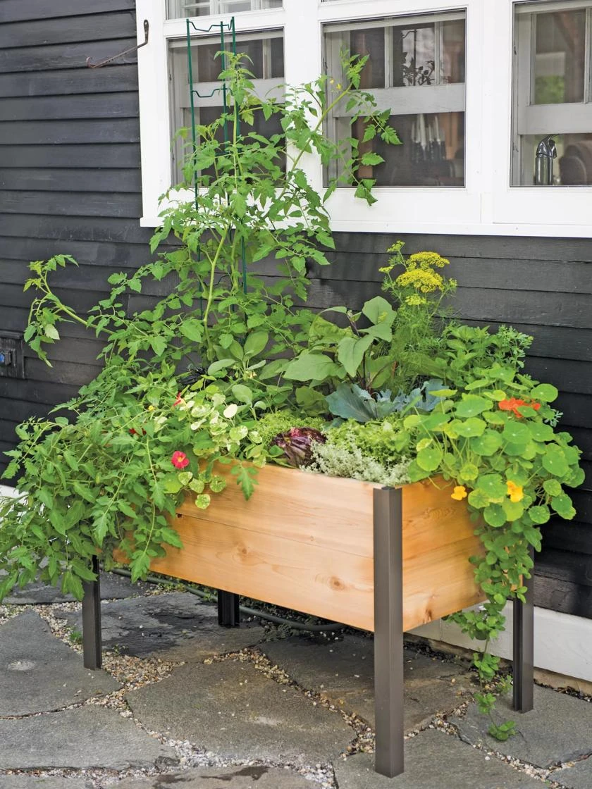 Elevated Planter Box, 2' X 4' 3 Elevated Planter Box, 2' X 4'