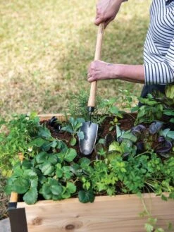 Gardener's Lifetime Raised Bed Trowel -GardenJoy Shop 8588014 4084 tif