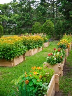 Farmstead Cedar Raised Garden Beds, 2' 13 Farmstead Cedar Raised Garden Beds, 2' -GardenJoy Shop 8588137 05V tif