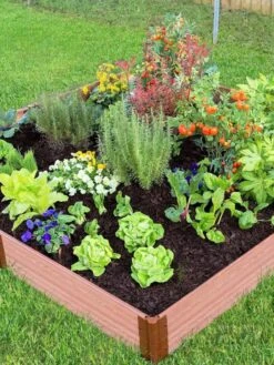 Composite Raised Bed With 1" Boards, 11" -GardenJoy Shop 8588274 03V tif
