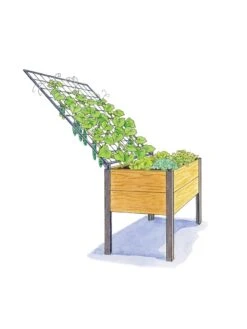 Elevated Planter Box And Space-Maker Pivoting Trellis Set, 2' X 4' -GardenJoy Shop 8590247 SMTrellis 4ft tif
