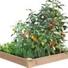 Cedar Raised Garden Bed, 4' X 4' X 6" -GardenJoy Shop 8591724 01V tif