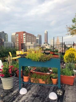 Demeter Mobile Planter Cart -GardenJoy Shop 8594148 01CUST tif