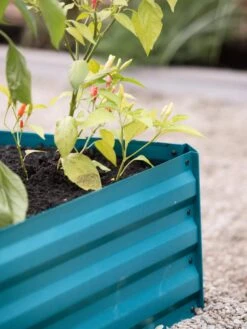 Demeter Corrugated Metal Raised Bed, 34" X 68" -GardenJoy Shop 8594183 470 tif 1