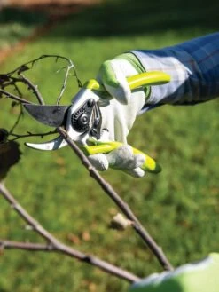 Gardener's Pro Pruner #2 9 Gardener's Pro Pruner #2 -GardenJoy Shop 8596605 032 tif