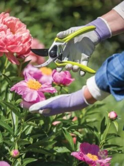 Gardener's Pro Pruner #2 8 Gardener's Pro Pruner #2 -GardenJoy Shop 8596605 1261 tif