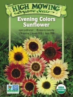 Evening Colors Sunflower Organic Seeds