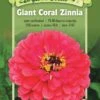 Giant Coral Zinnia Organic Seeds -GardenJoy Shop 8598226 01V tif