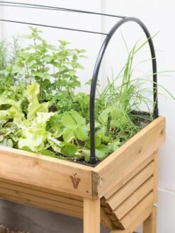 VegTrug® Mini Wallhugger Planter With Cover -GardenJoy Shop 8598339 4004 tif