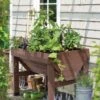 Compact VegTrug® Patio Garden -GardenJoy Shop 8598574 0400 tif