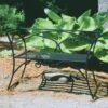 Achla Designs Wrought Iron Arbor Bench With Back 1 Achla Designs Wrought Iron Arbor Bench With Back -GardenJoy Shop 8598749 01V tif