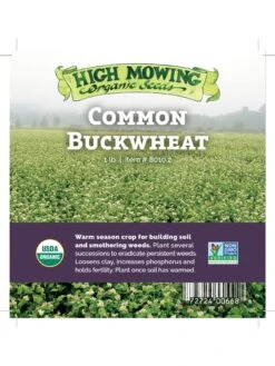 Common Buckwheat Organic Seeds 9 Common Buckwheat Organic Seeds -GardenJoy Shop 8599871 04v