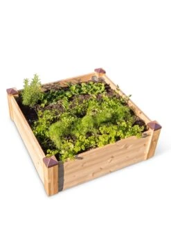 Copper Cap Raised Beds -GardenJoy Shop 8600496 0101 tif