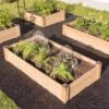 Copper Cap Raised Beds 2 Copper Cap Raised Beds -GardenJoy Shop 8600497 0526 tif