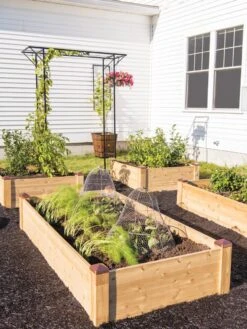 Copper Cap Raised Beds -GardenJoy Shop 8600497 0530 tif