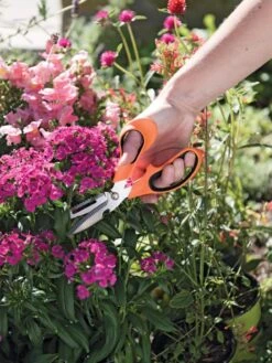 Gardener's Multi Purpose Scissors -GardenJoy Shop 8608655 19551 tif