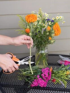 Gardener's Multi Purpose Scissors -GardenJoy Shop 8608655 19555 tif