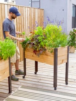 Rolling Patio Garden