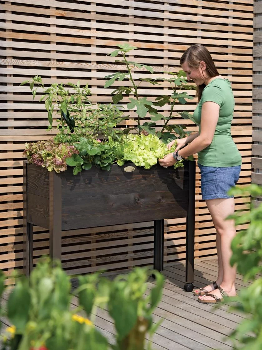 Eco-Stain Rolling Patio Garden 3 Eco-Stain Rolling Patio Garden