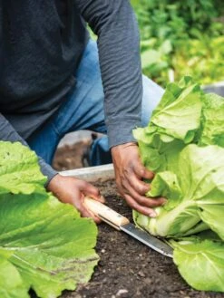 Gardener's Lifetime Hori Hori Knife -GardenJoy Shop 8608888 0416 tif