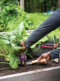 Gardener's Lifetime Hori Hori Knife -GardenJoy Shop 8608888 0422 tif