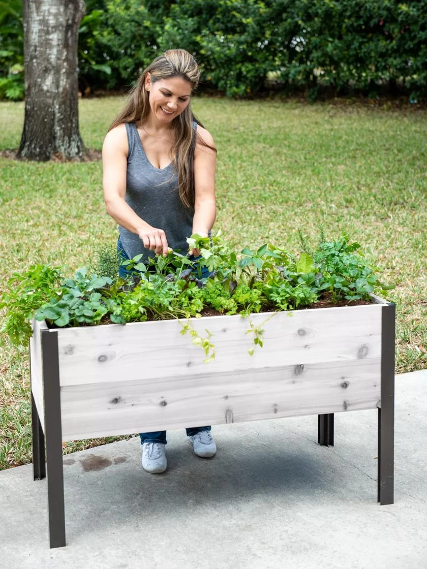 Self-Watering Eco-Stained Elevated Planter Box, 2' X 4' 3 Self-Watering Eco-Stained Elevated Planter Box, 2' X 4'