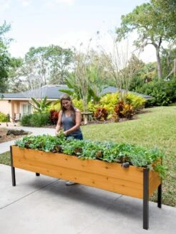 Self-Watering Eco-Stained Elevated Planter Box, 2' X 8' -GardenJoy Shop 8608965 6069 tif