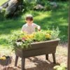 Calipso 3-in-1 Kids Gardening Self-Watering Planter Kit -GardenJoy Shop 8609217 0333 tif