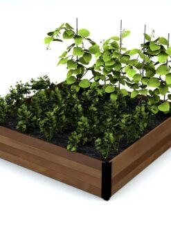 Vita Mezza Garden Bed, 4’x4’x11”