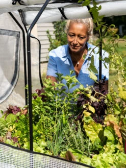 VegTrug®Patio Garden Greenhouse Cover Kit -GardenJoy Shop 8610172 1256