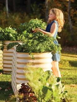 Birdies™ Modular Metal Raised Bed, Tall 13 Birdies™ Modular Metal Raised Bed, Tall -GardenJoy Shop 8610174 05010 tif