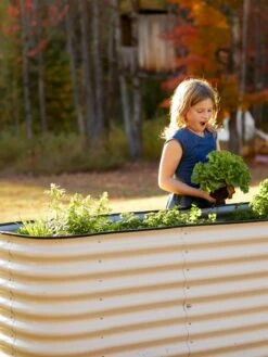 Birdies™ Modular Metal Raised Bed, Tall 12 Birdies™ Modular Metal Raised Bed, Tall -GardenJoy Shop 8610174 5015 tif