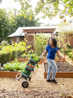 Mod Hod Trolley With Teal Mod Hods 9 Mod Hod Trolley With Teal Mod Hods -GardenJoy Shop 8610240 0070 tif