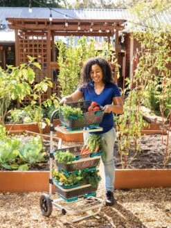 Mod Hod Trolley With Teal Mod Hods