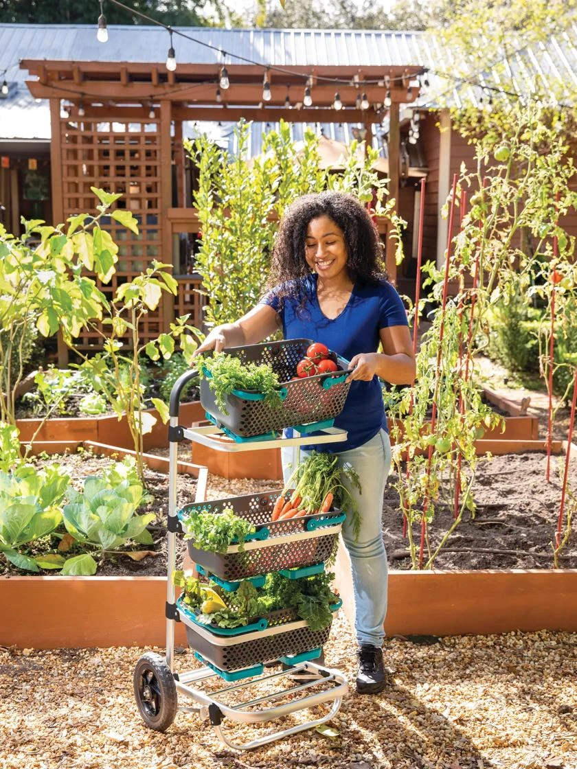 Mod Hod Trolley With Teal Mod Hods 3 Mod Hod Trolley With Teal Mod Hods