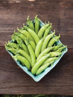 Family Garden Organic Seed Collection, Set Of 7 -GardenJoy Shop 8610262 cascadia peas 01V tif
