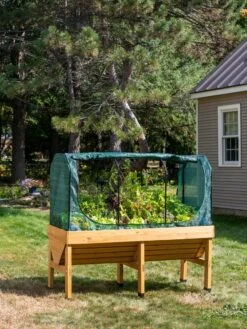 VegTrug® Patio Garden Shade Cover 15 VegTrug® Patio Garden Shade Cover -GardenJoy Shop 8610408 8357 tif